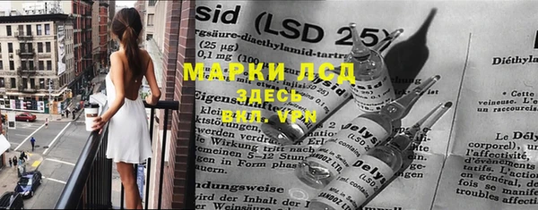 стаф Ладушкин