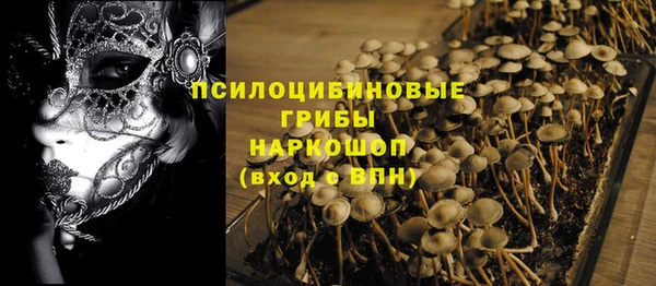 стаф Ладушкин