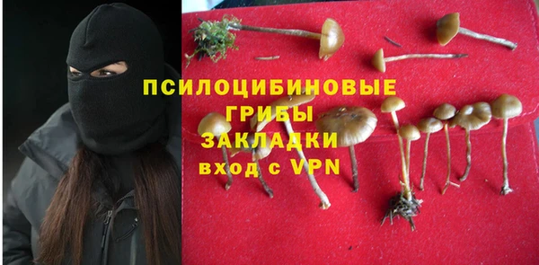 стаф Ладушкин