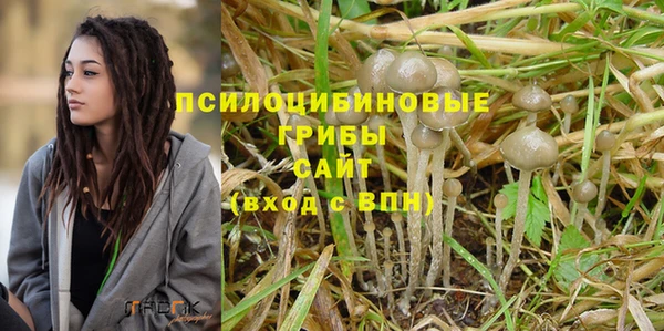 прущие грибы Лиски