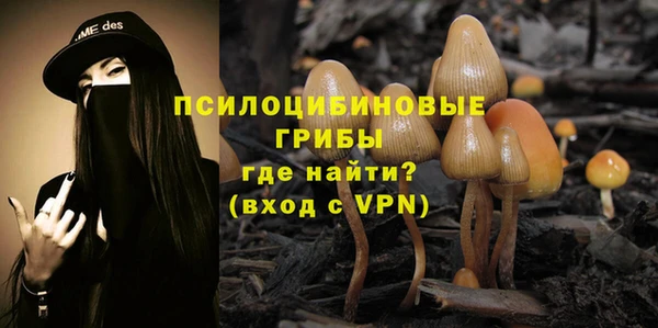 бошки Магадан