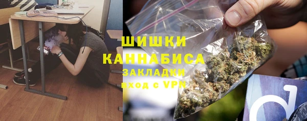 стаф Ладушкин