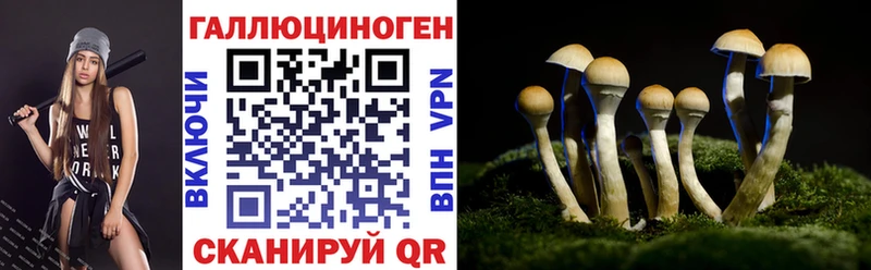 Псилоцибиновые грибы MAGIC MUSHROOMS  Кыштым 