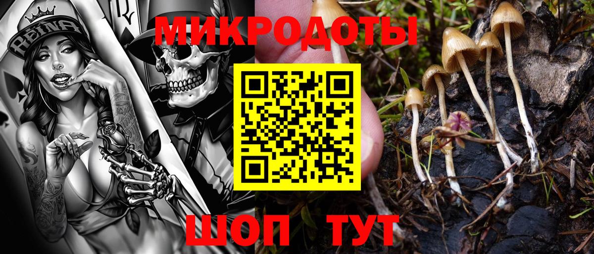 Псилоцибиновые грибы мухоморы Кыштым